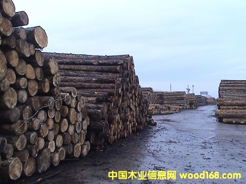 ԭľ��Ԕ��(x��)��B