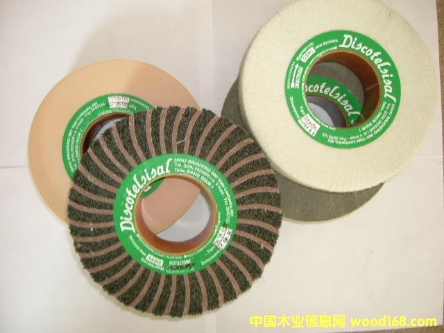 �����Discotelsisalɰ݆