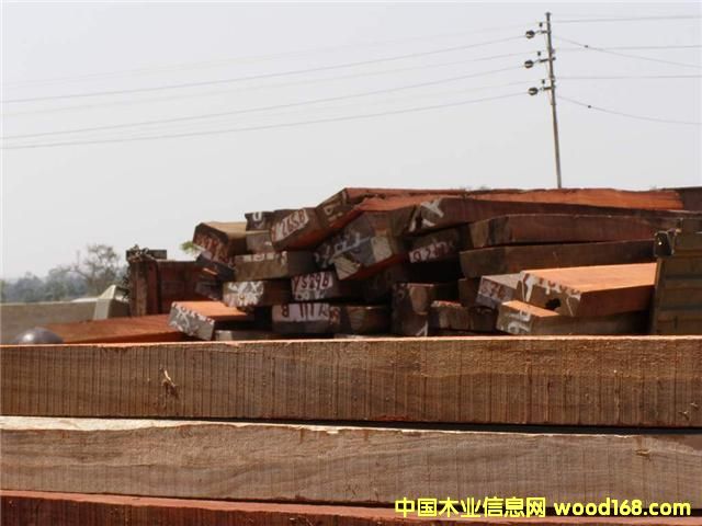 ����Ѫ̴ԭľ