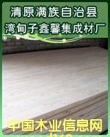 [��] ������ָ�Ӱ� ���ɲ� 