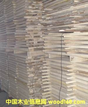 ����������Ԕ����B