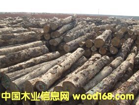 ��ľ��Ԕ��(x��)��B