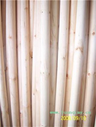 ������ľ�S��Ԕ����B