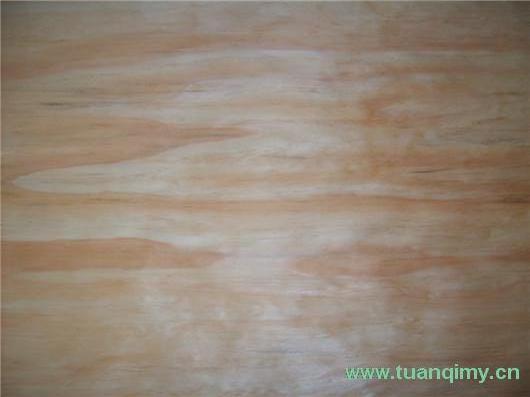 ݗ������Ƥ��Ԕ����B