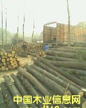 ��ľ��Ԕ��(x��)��B