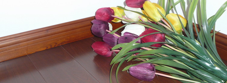 ��(sh��)ľ���_���Ԕ��(x��)��B