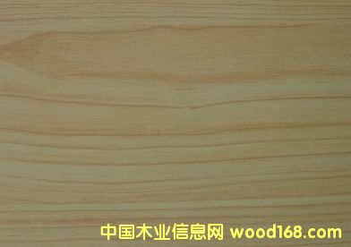 �t���Ԕ��(x��)��B