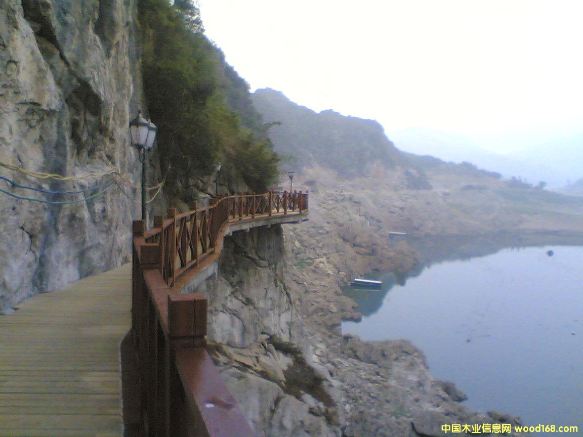 ����ľ����