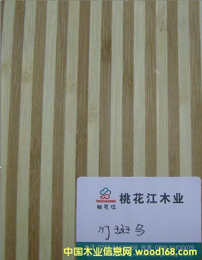 ������Ƭ��Ԕ����B