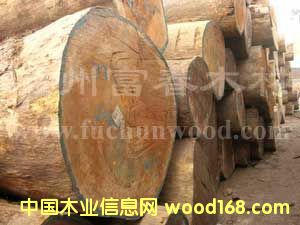 ���ް͵�ľ��Ԕ��(x��)��B