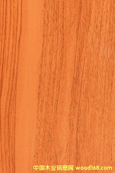 ���n����Ԕ��(x��)��B