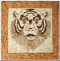 ���(sh��)Ƥ�C����Ԕ��(x��)��B