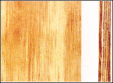 �� ���z�ذ��Ԕ��(x��)��B