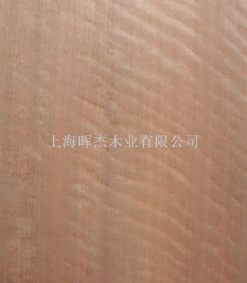 �tӰ ľƤ��Ԕ��(x��)��B