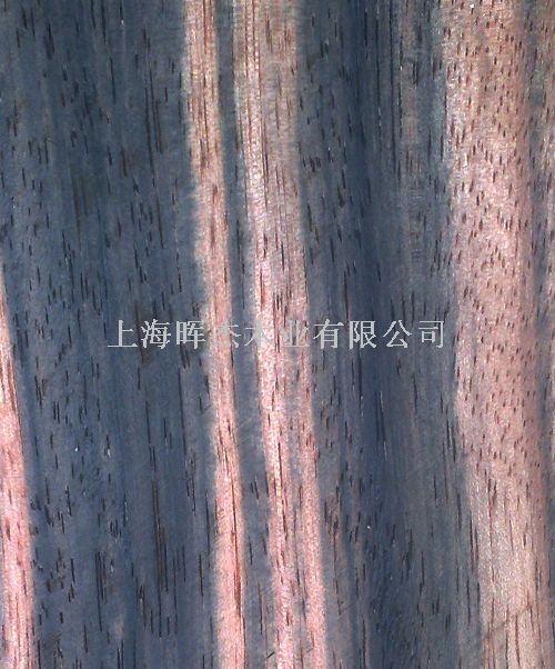 ӡ���̴ ľƤ��Ԕ��(x��)��B