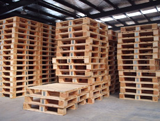 ����ľ�бP��Ԕ��(x��)��B