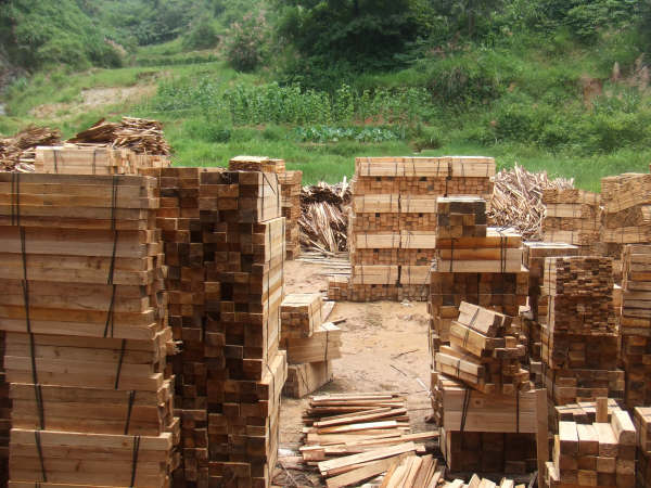 ľ�İ��Ʒ�ٹ�ĺ�ɲĵ�Ԕ��(x��)��B