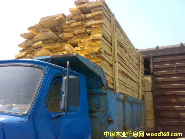 �����ɰ�ĵ�Ԕ��(x��)��B