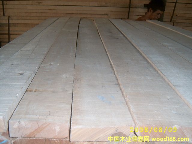 ���_˹��ľ��Ԕ��(x��)��B