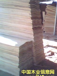 ��ľԭ���Ԕ��(x��)��B