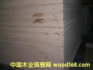 CARB�J(r��n)�C�z�ϰ�