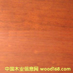 ��������Ԕ��(x��)��B