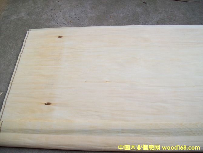 �ľ��Ƥ���棱��Ԕ����B