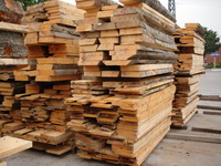 ��ľ��Ԕ����B