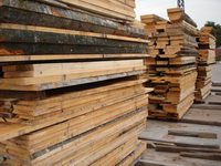 ��ľ��Ԕ����B