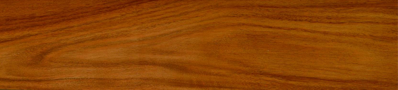 ��(qi��ng)��(��˼ľɫ)