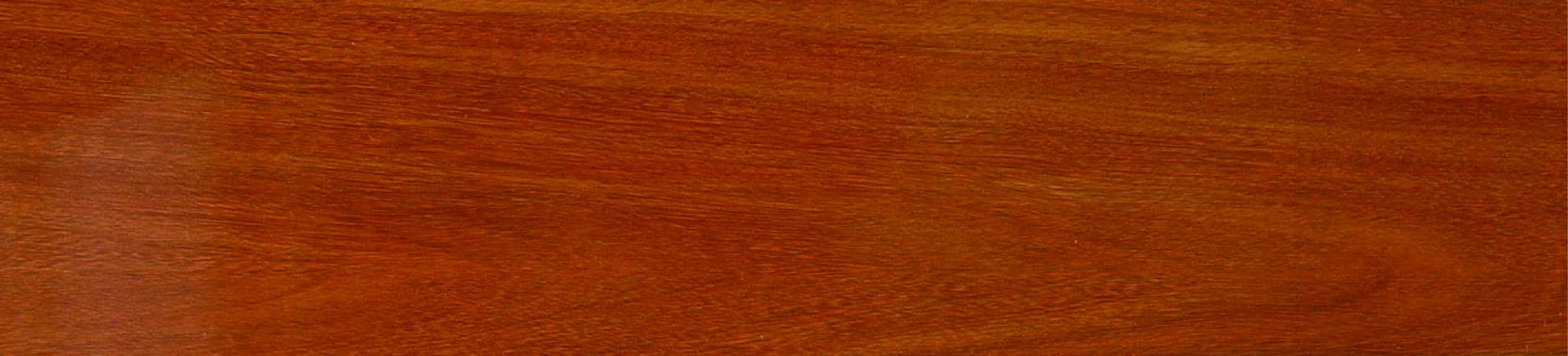 ��(qi��ng)��(���P̴ɫ)