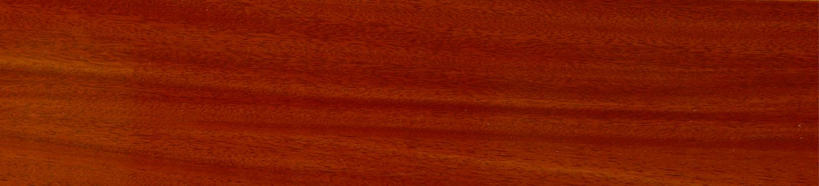 ��(qi��ng)��(�A�P��ɫ)