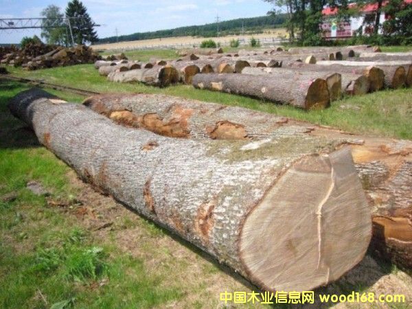 ��ľ��Ԕ��(x��)��B