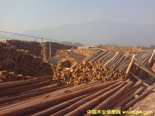 ɼľ��Ԕ����B