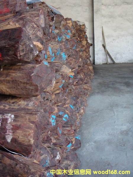 С�~��̴��Ԕ��(x��)��B