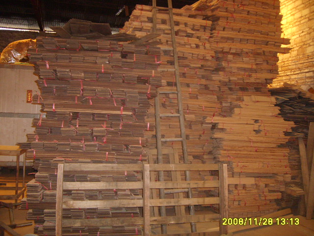 ����(gu��)����ľ��Ԕ��(x��)��B