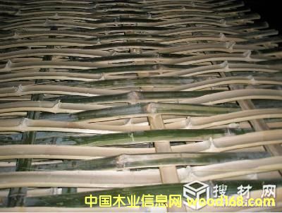 ��ʵ�Ԕ����B