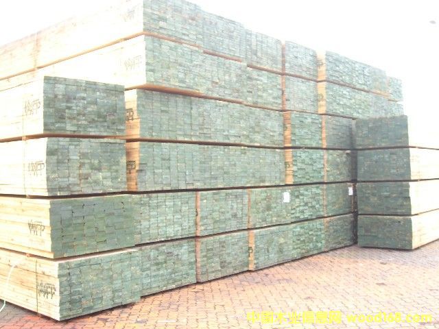 ���Ҏ(gu��)���� �M�ڽ���ľ�ĵ�Ԕ��(x��)��B