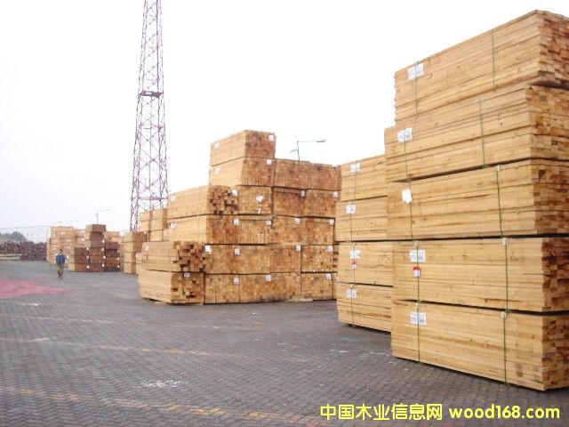 ����M(j��n)�ڰ�� �Fɼľ