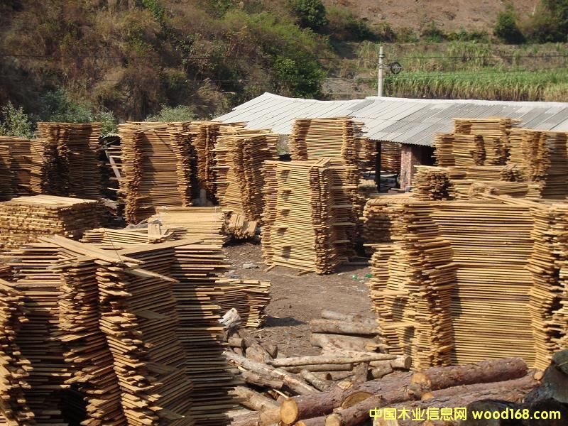 �ʗl��Ԕ��(x��)��B