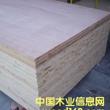 ָ�Ӱ��Ԕ��(x��)��B