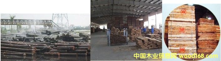 �W�ޙ�ľ��Ԕ��(x��)��B