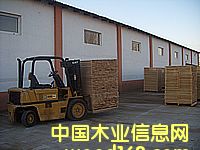 �_�R�၆ľ�ĵ�Ԕ��(x��)��B