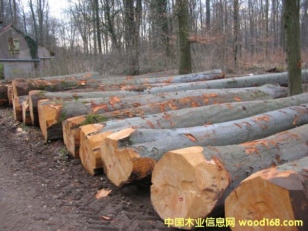 ԭľ��Ԕ��(x��)��B