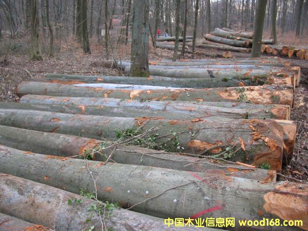 ԭľ��Ԕ��(x��)��B