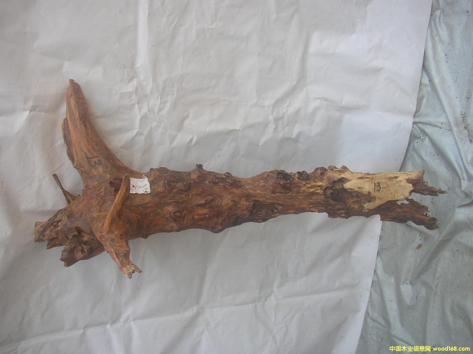 �����S����13#