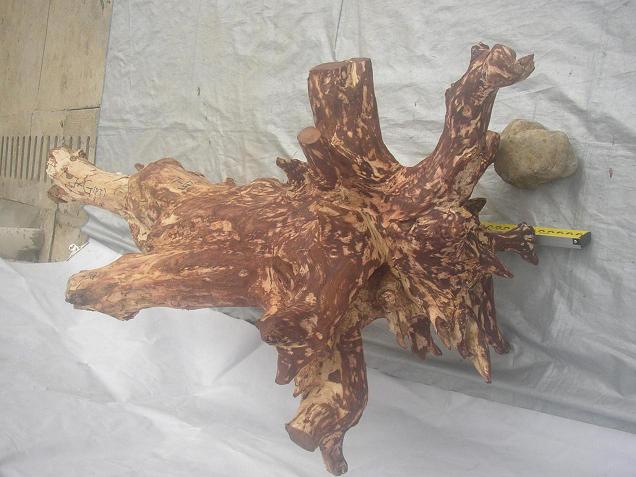 �����S����