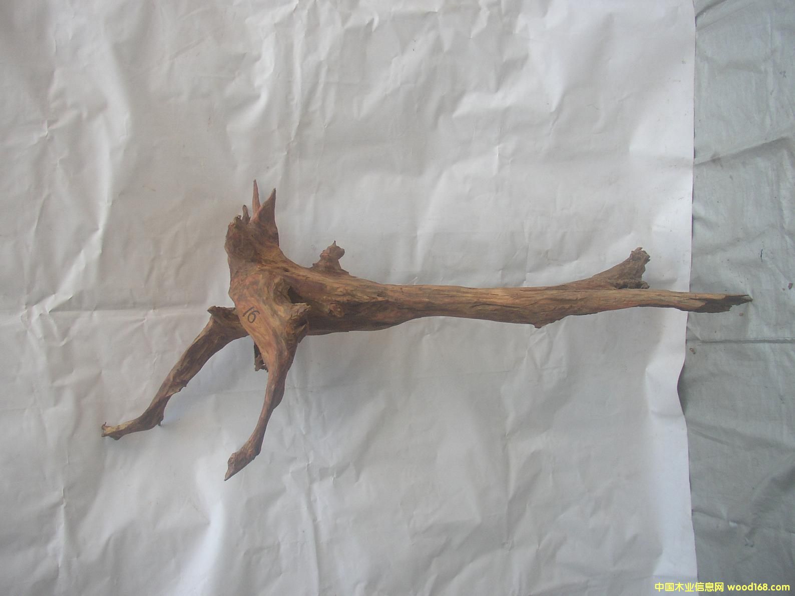 �����S����16#