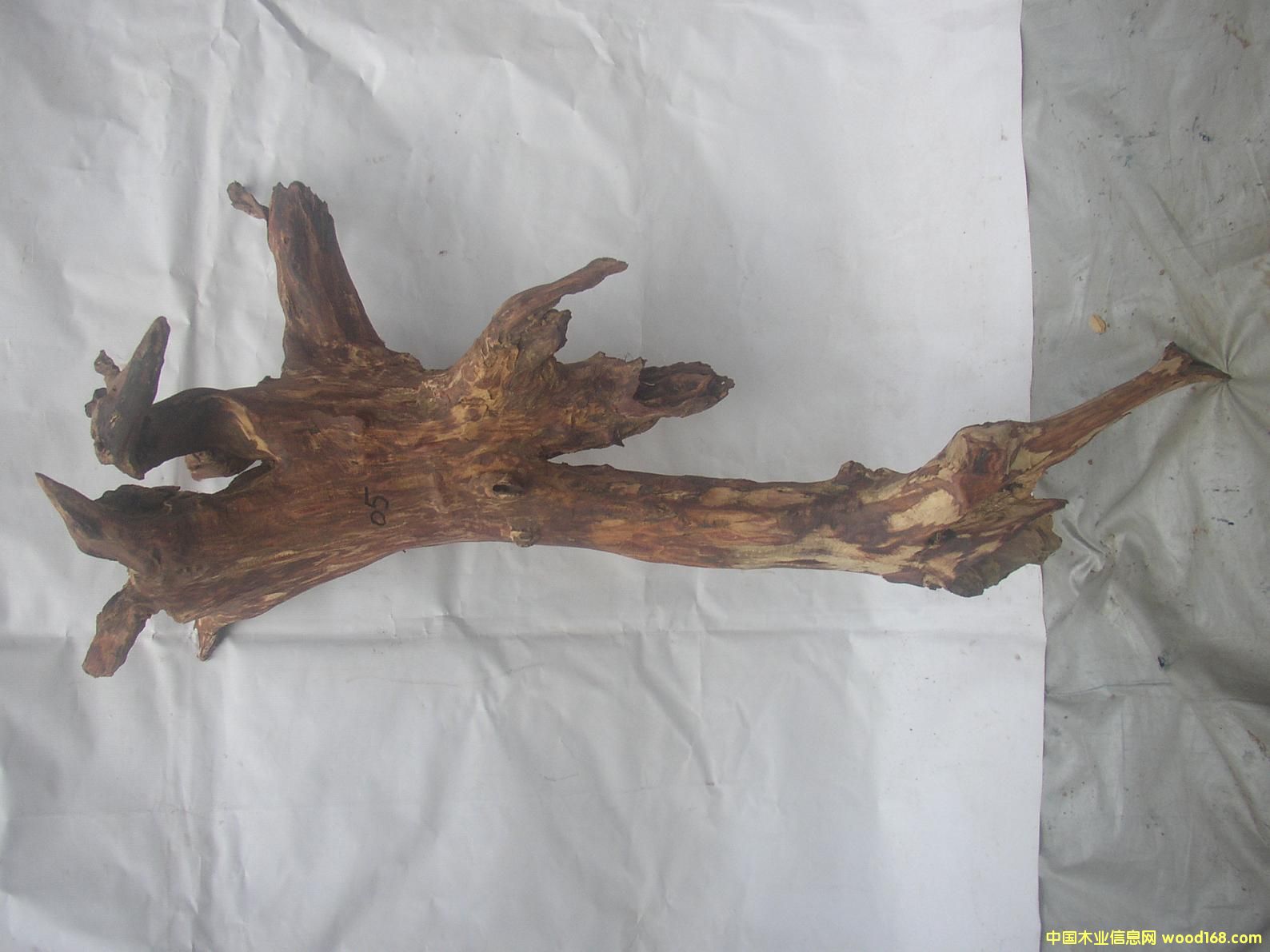 �����S����05#