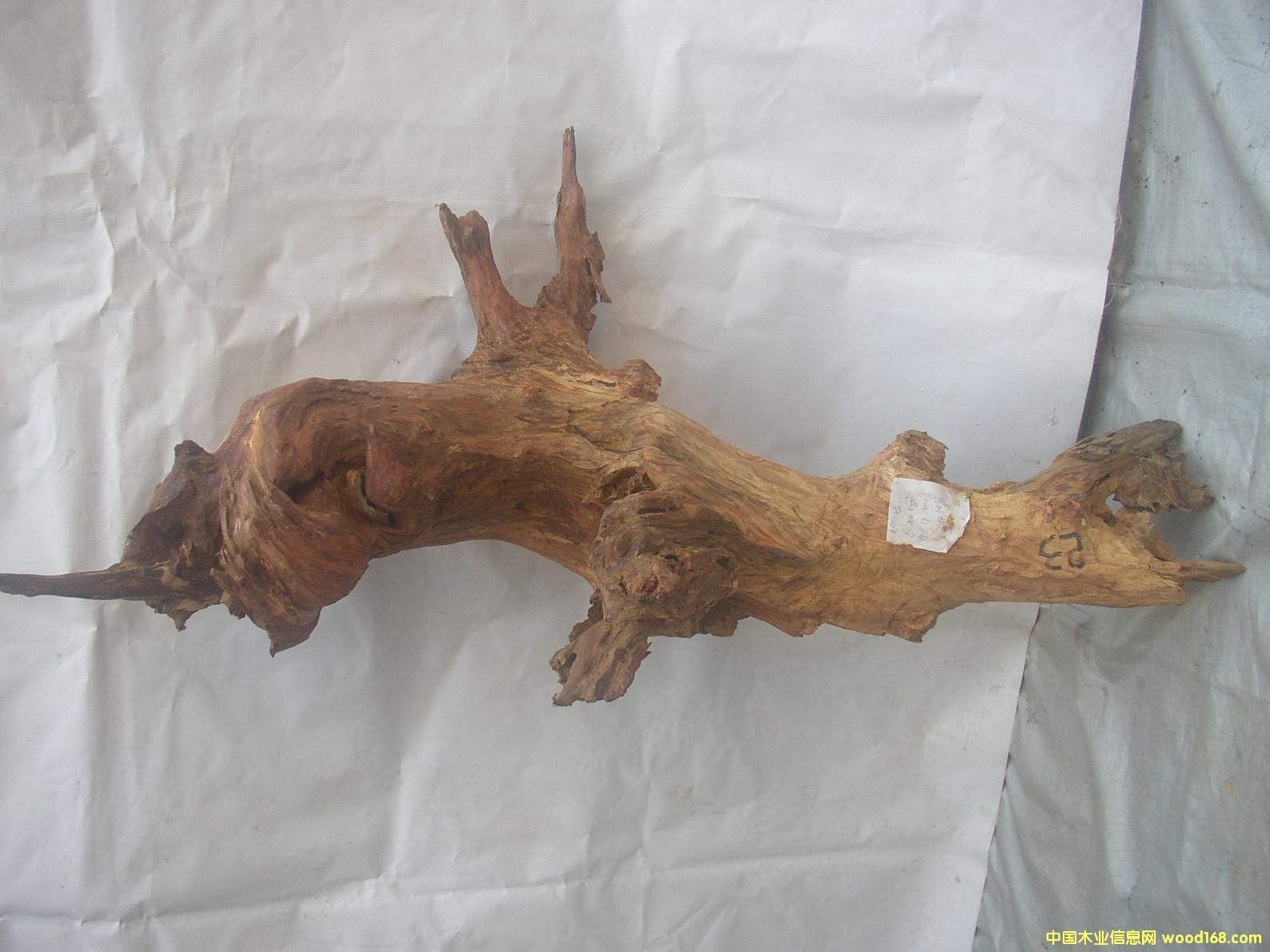 �����S����23#